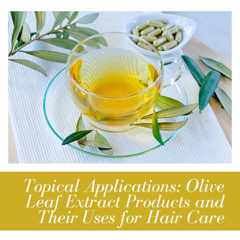 Topical Applications: Olive Leaf Extract Products and Their Uses for Hair Care