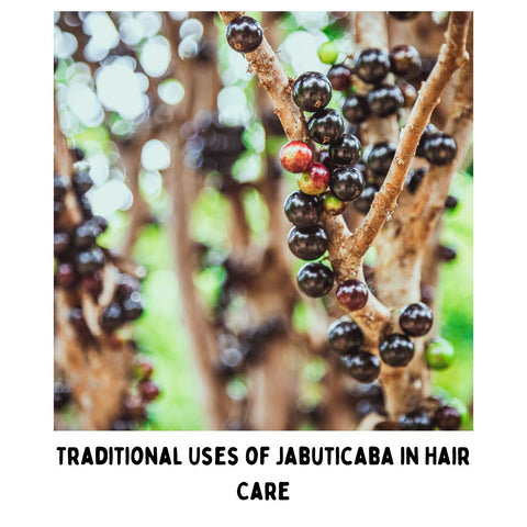 Traditional Uses of Jabuticaba in Hair Care