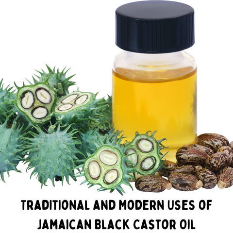 Traditional and Modern Uses of Jamaican Black Castor Oil