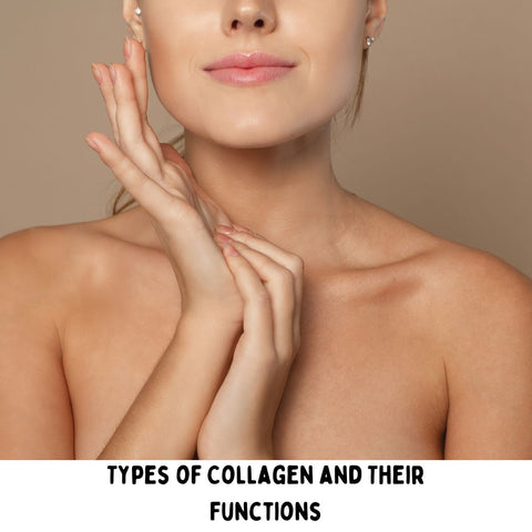 Types of Collagen and Their Functions