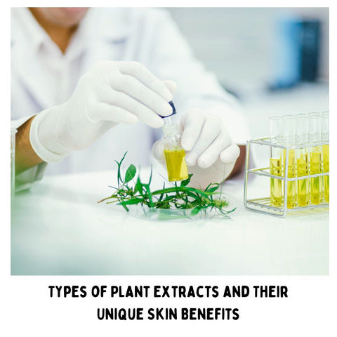 Types of Plant Extracts and Their Unique Skin Benefits