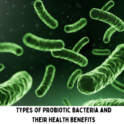 Types of Probiotic Bacteria and Their Health Benefits