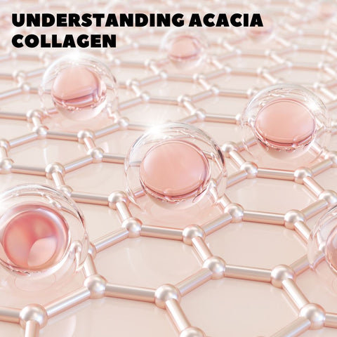 Understanding Acacia Collagen
