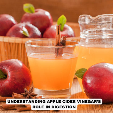 Understanding Apple Cider Vinegar’s Role in Digestion