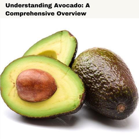 Understanding Avocado: A Comprehensive Overview