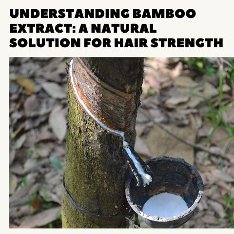 Understanding Bamboo Extract: A Natural Solution for Hair Strength