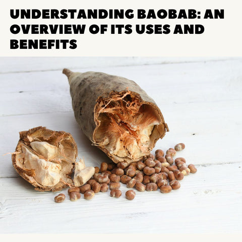 Understanding Baobab: An Overview of Its Uses and Benefits