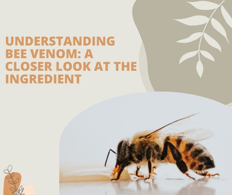 Understanding Bee Venom: A Closer Look at the Ingredient