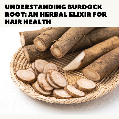 Understanding Burdock Root: An Herbal Elixir for Hair Health