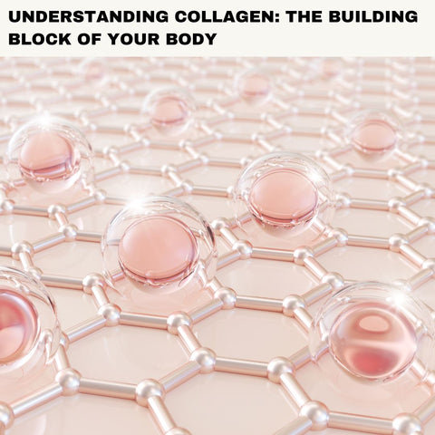Understanding Collagen: The Building Block of Your Body