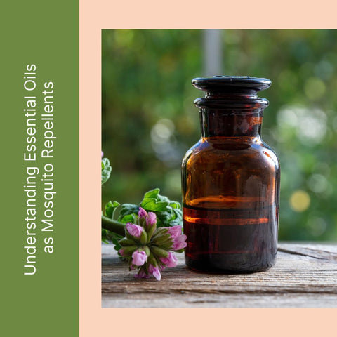 Understanding Essential Oils as Mosquito Repellents