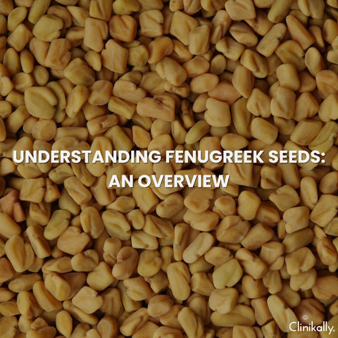 Understanding Fenugreek Seeds: An Overview