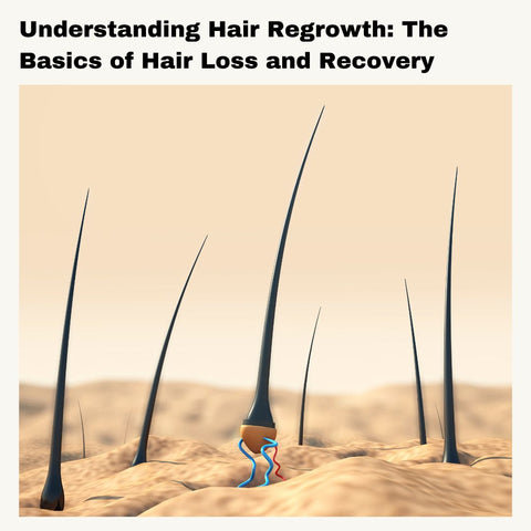 Understanding Hair Regrowth: The Basics of Hair Loss and Recovery