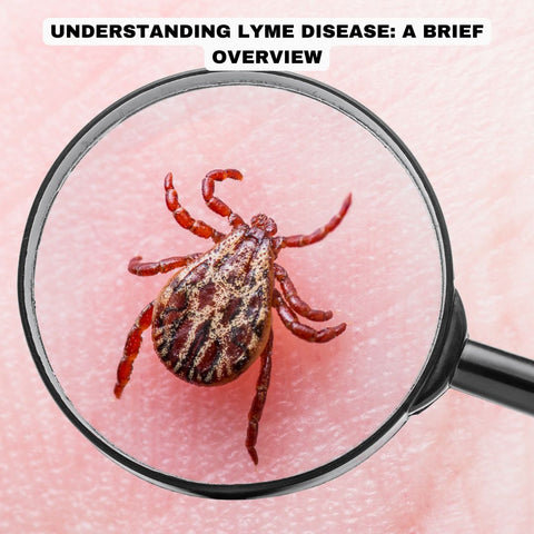Understanding Lyme Disease: A Brief Overview