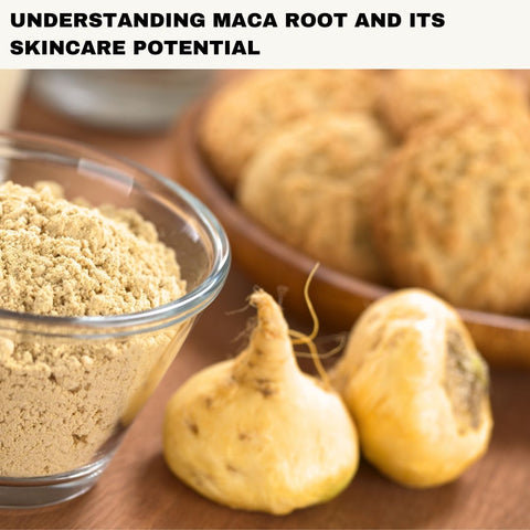Understanding Maca Root and Its Skincare Potential