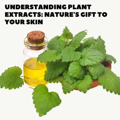 Understanding Plant Extracts: Nature's Gift to Your Skin