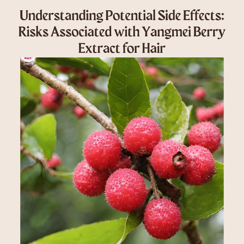 Understanding Potential Side Effects: Risks Associated with Yangmei Berry Extract for Hair