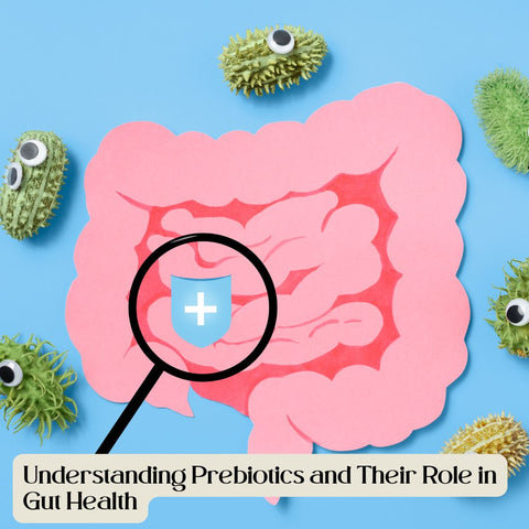 Understanding Prebiotics and Their Role in Gut Health