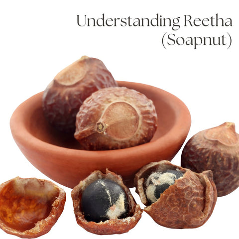 Understanding Reetha (Soapnut)