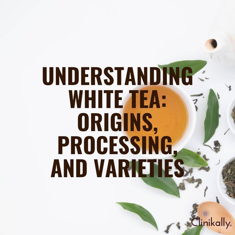 Understanding White Tea: Origins, Processing, and Varieties