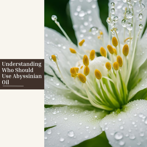 Understanding Who Should Use Abyssinian Oil