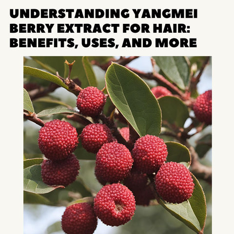 Understanding Yangmei Berry Extract for Hair: Benefits, Uses, and More