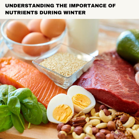 Understanding the Importance of Nutrients During Winter