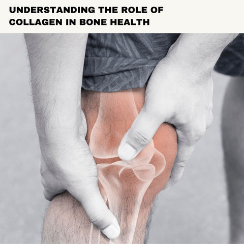 Understanding the Role of Collagen in Bone Health