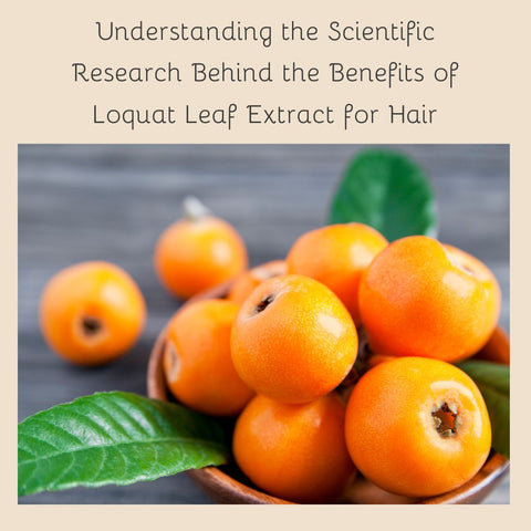 Understanding the Scientific Research Behind the Benefits of Loquat Leaf Extract for Hair