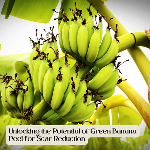 Unlocking the Potential of Green Banana Peel for Scar Reduction