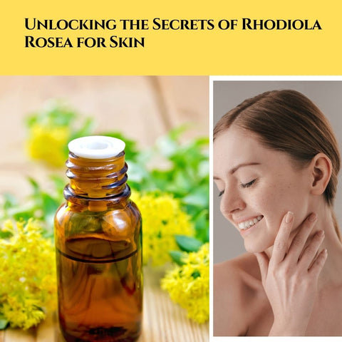 Unlocking the Secrets of Rhodiola Rosea for Skin