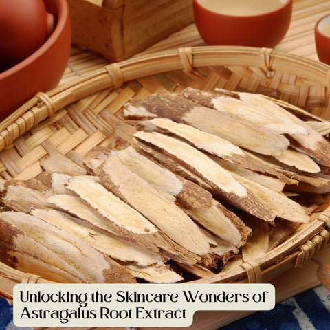Unlocking the Skincare Wonders of Astragalus Root Extract