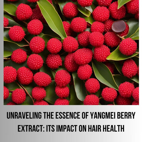 Unraveling the Essence of Yangmei Berry Extract: Its Impact on Hair Health