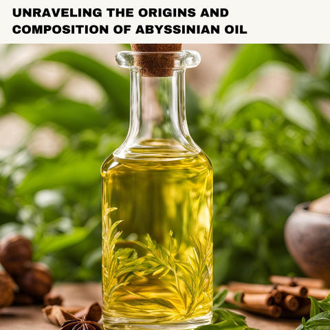 Unraveling the Origins and Composition of Abyssinian Oil