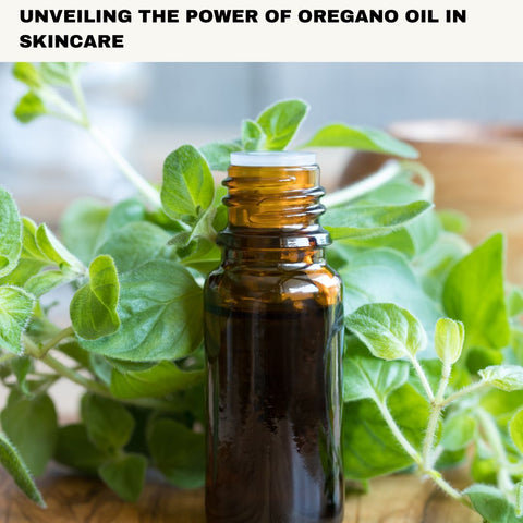 Unveiling the Power of Oregano Oil in Skincare