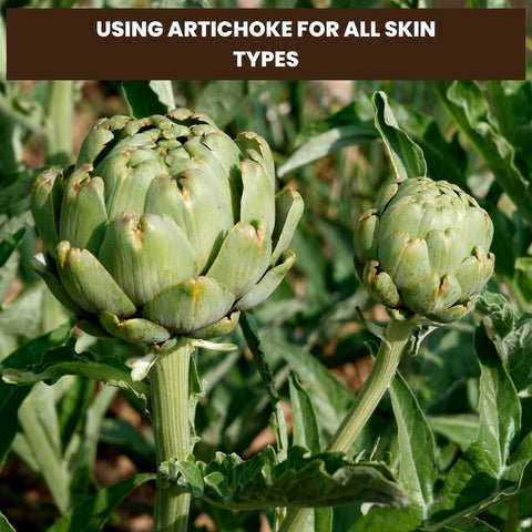 Using Artichoke for All Skin Types