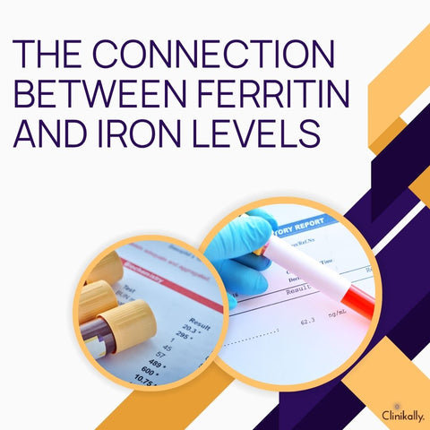 The Connection Between Ferritin and Iron Levels