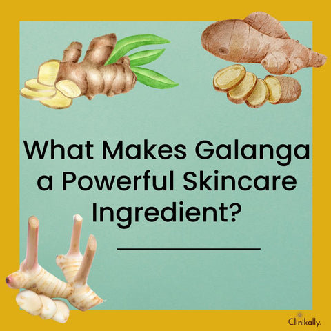 What Makes Galanga a Powerful Skincare Ingredient?
