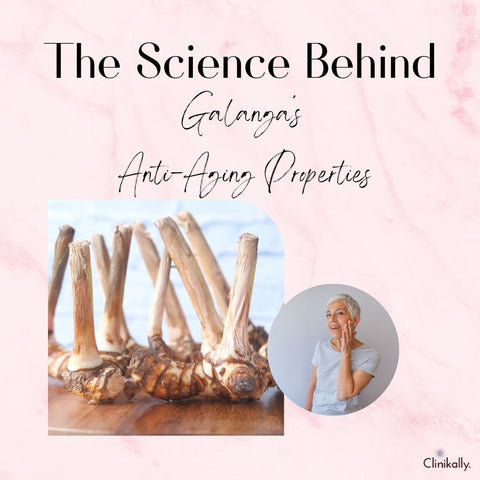 The Science Behind Galanga’s Anti-Aging Properties