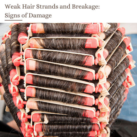 Weak Hair Strands and Breakage: Signs of Damage