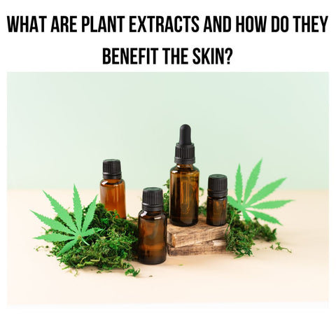 What Are Plant Extracts and How Do They Benefit the Skin?