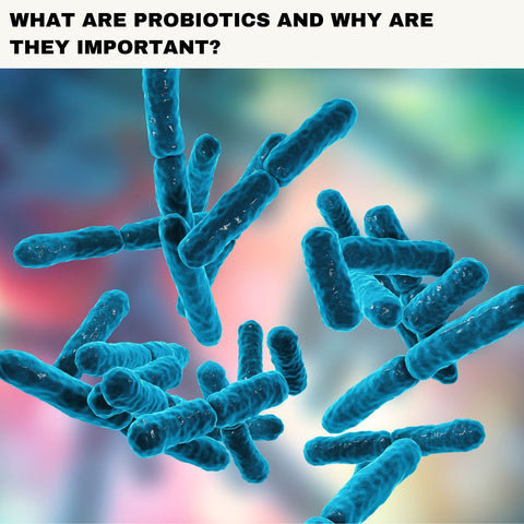 What Are Probiotics and Why Are They Important?