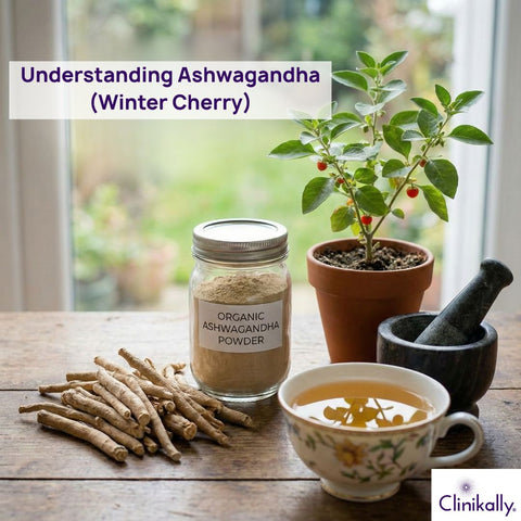What Is Ashwagandha (Winter Cherry)?