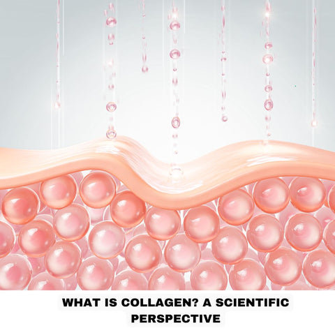 What Is Collagen? A Scientific Perspective