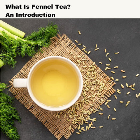 What Is Fennel Tea? An Introduction
