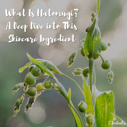 What Is Hatomugi? A Deep Dive into This Skincare Ingredient