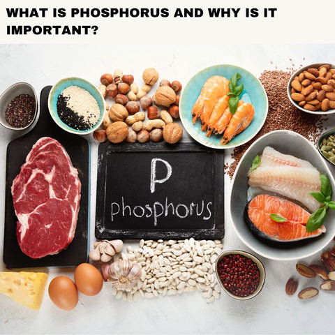What Is Phosphorus and Why Is It Important?