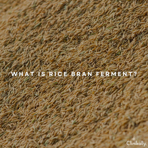 What Is Rice Bran Ferment?