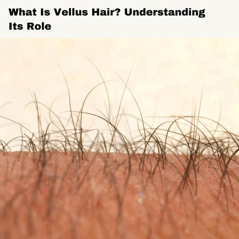 What Is Vellus Hair? Understanding Its Role