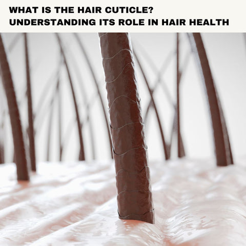 What Is the Hair Cuticle? Understanding Its Role in Hair Health